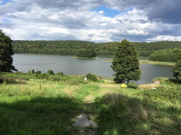 Klimatyczny W Lesie Przy Jeziorze *